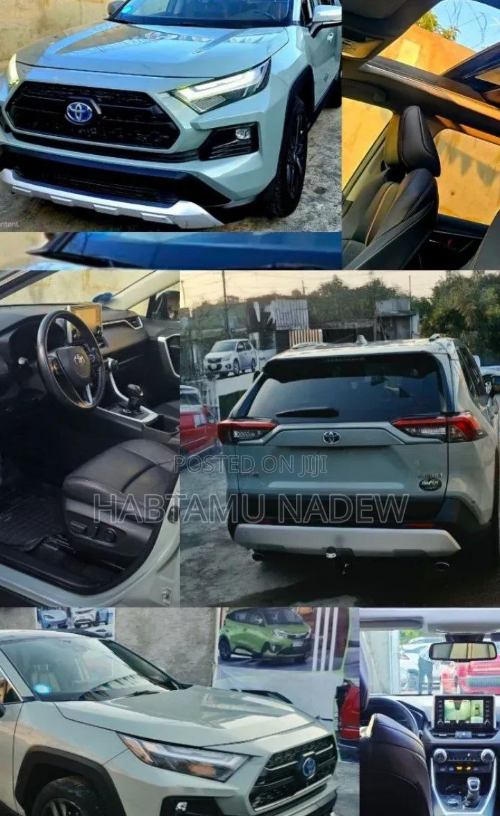 Toyota RAV4 2022 Green