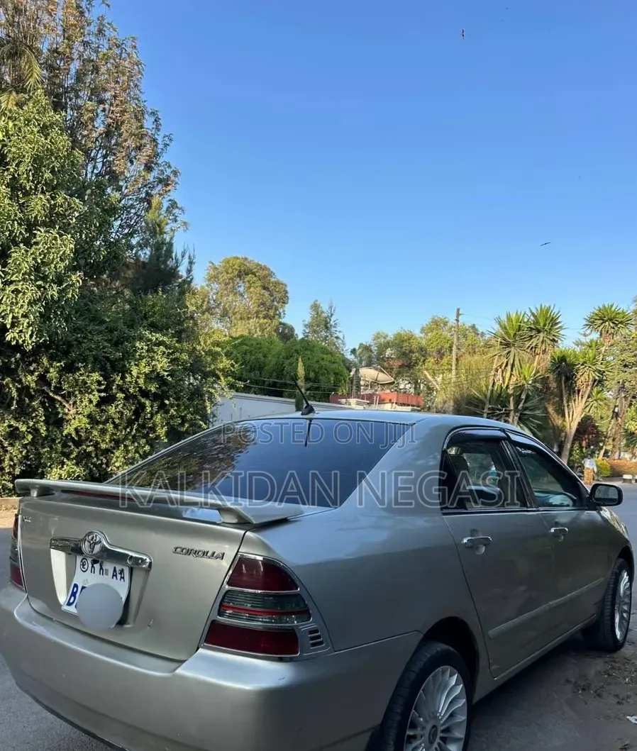 Toyota Corolla 2003 Gray
