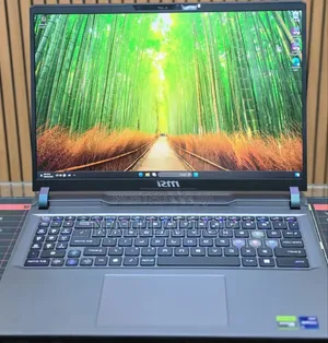 New Laptop MSI Raider GE68HX 13VI-202US 32GB Intel Core i9 SSD 1T