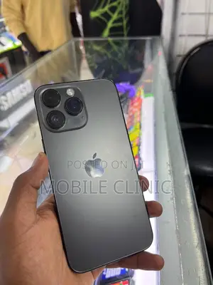 Apple iPhone 14 Pro Max 256 GB Gray