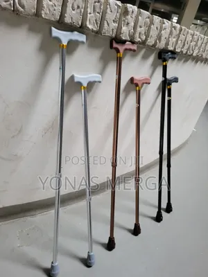 Walking Stick for Elderly/Patient Stick You Can Take