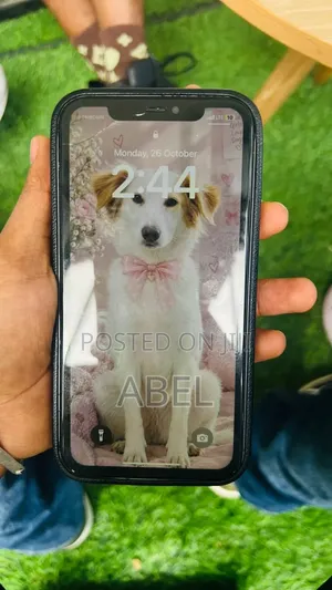 Apple iPhone 11 128 GB Purple