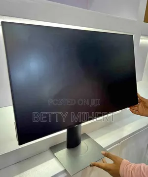 Dell 24 Inch Frameless Monitor