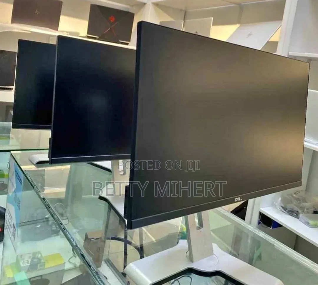 Dell 24 Inch Frameless Monitor