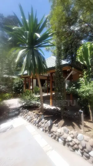 Furnished 2bdrm House in Oromia, East Shewa for rent