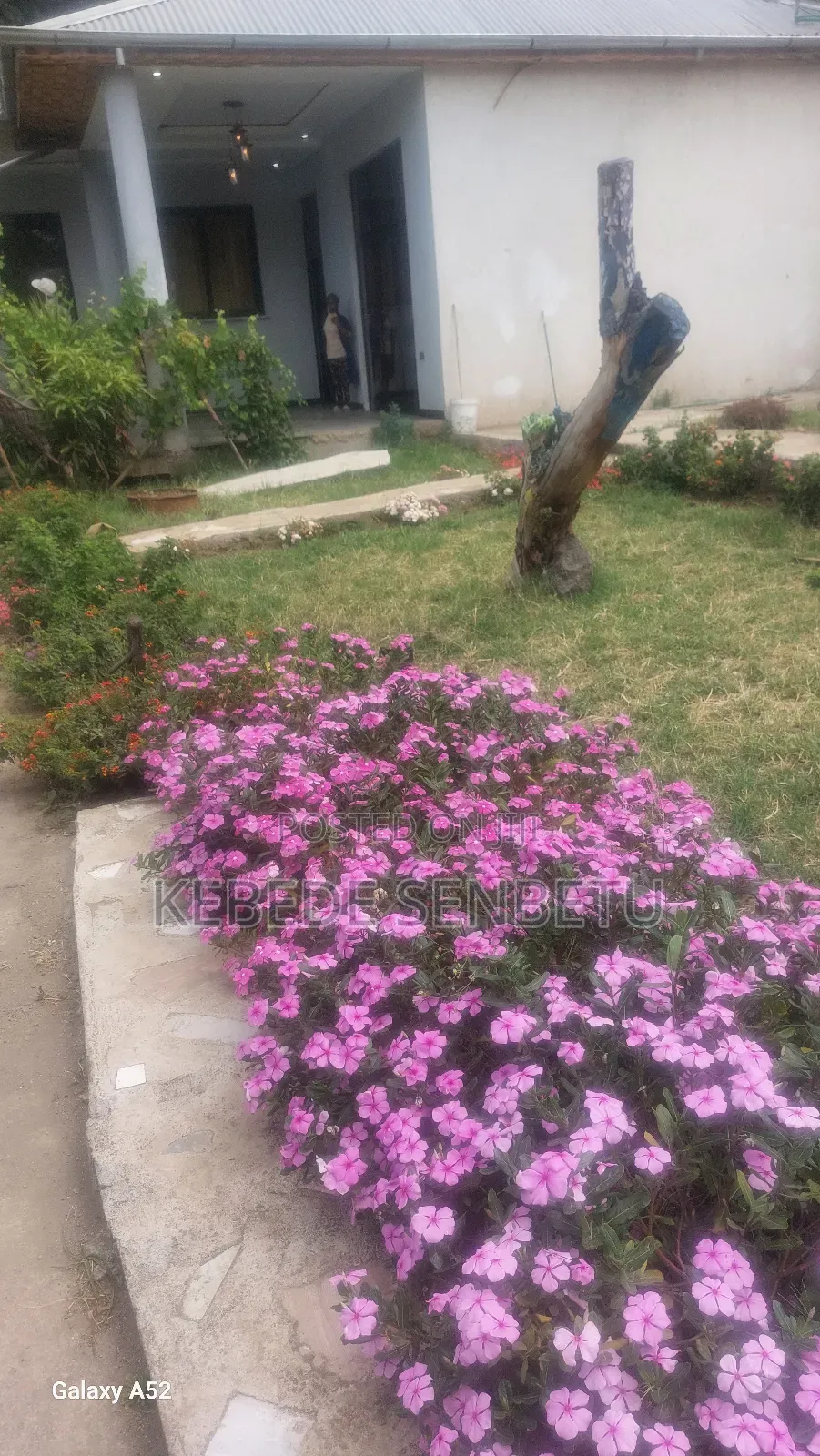 Furnished 3bdrm House in Oroma, East Shewa for rent