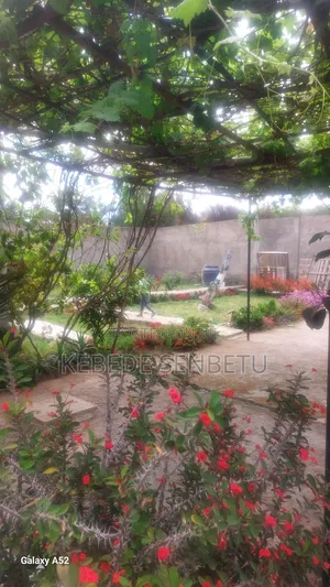 Furnished 3bdrm House in Oroma, East Shewa for rent