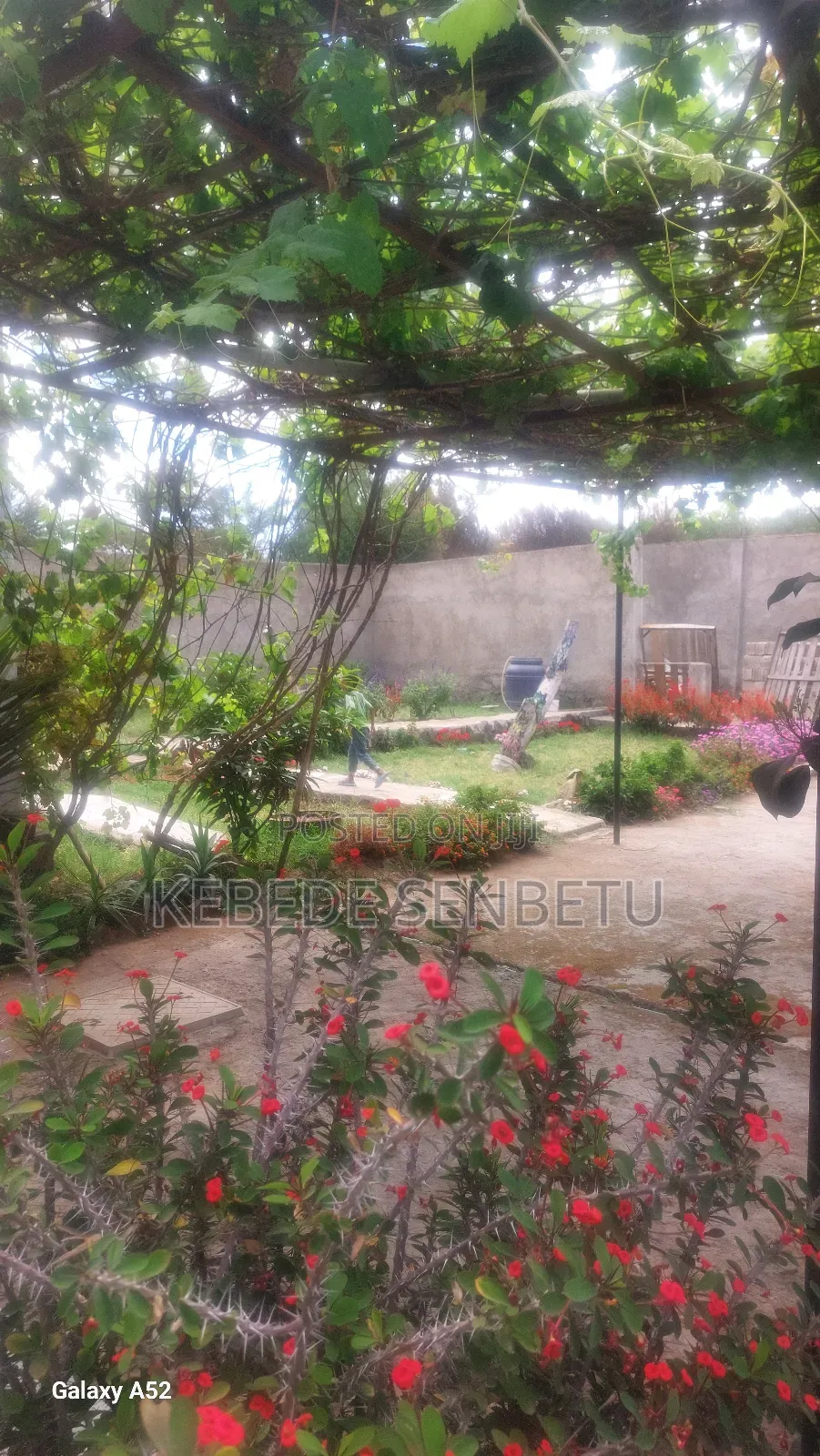 Furnished 3bdrm House in Oroma, East Shewa for rent