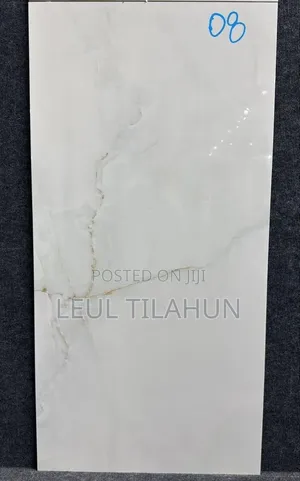Indian Ceramic Tiles 120*60