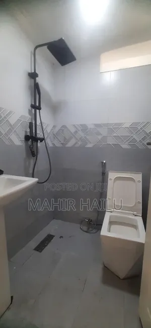 2bdrm Condo in Turist, Bole for rent