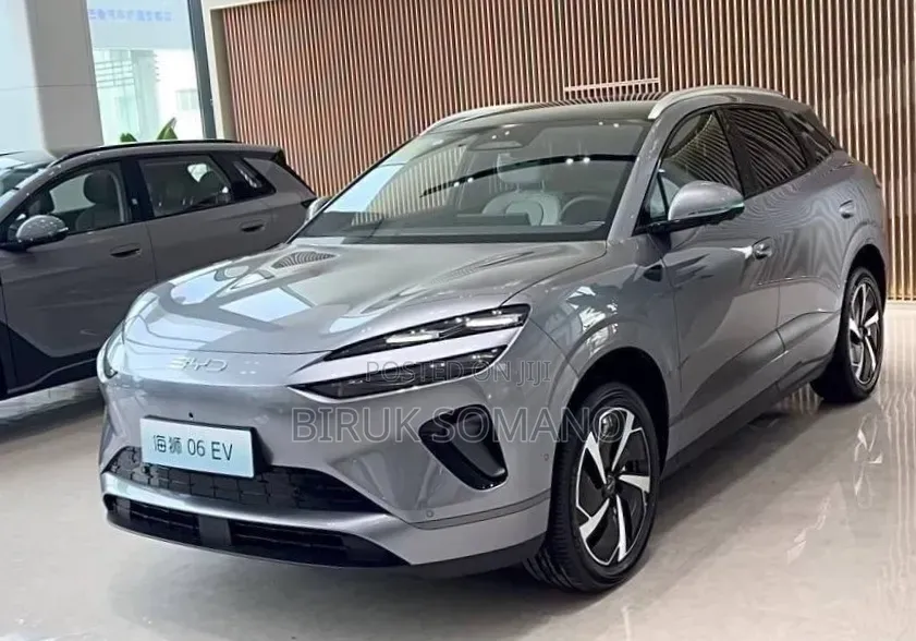 New BYD Sealion 06 EV 2025 Gray