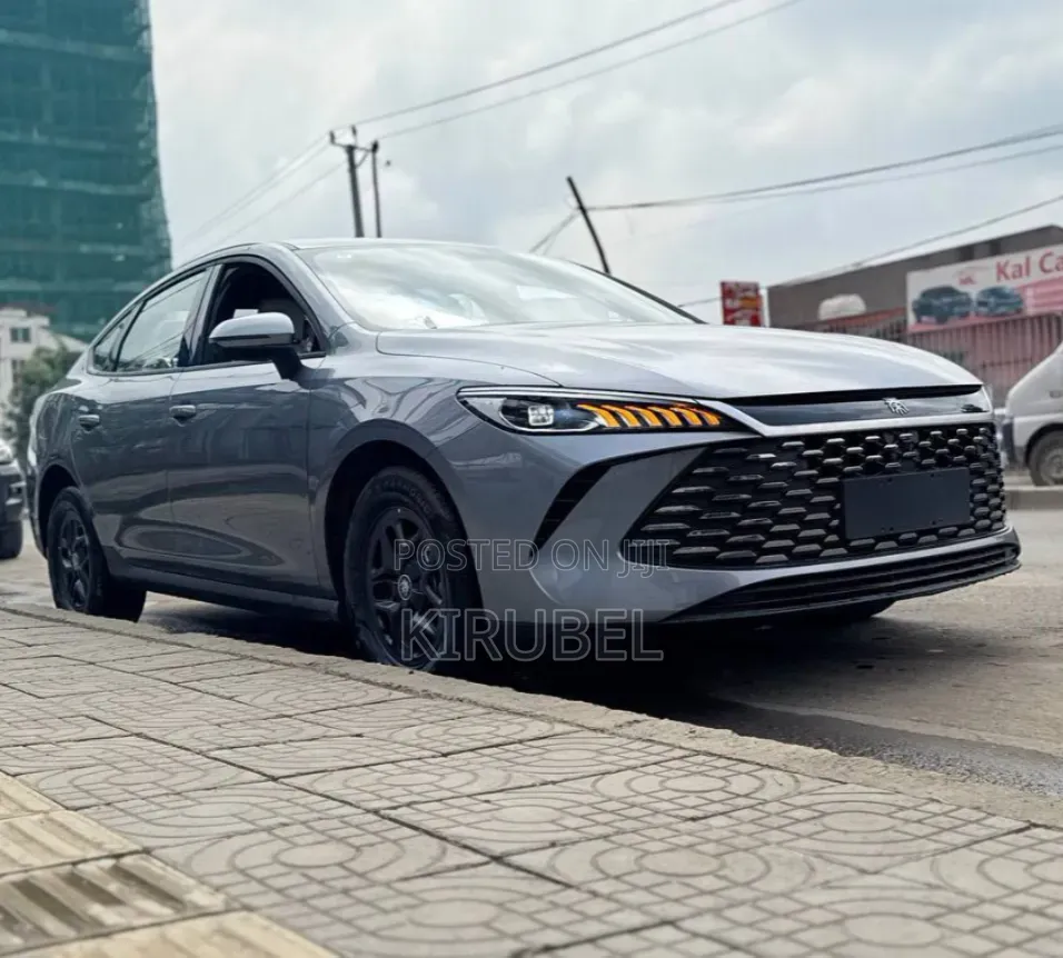New BYD Qin Plus DM-i 2025 Silver