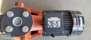 Leo Pump P