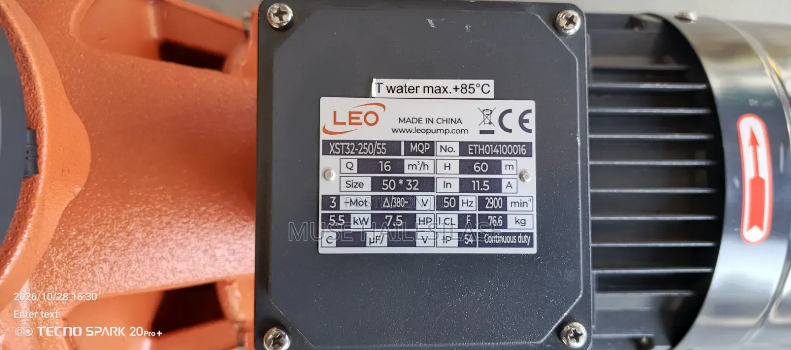 Leo Pump P