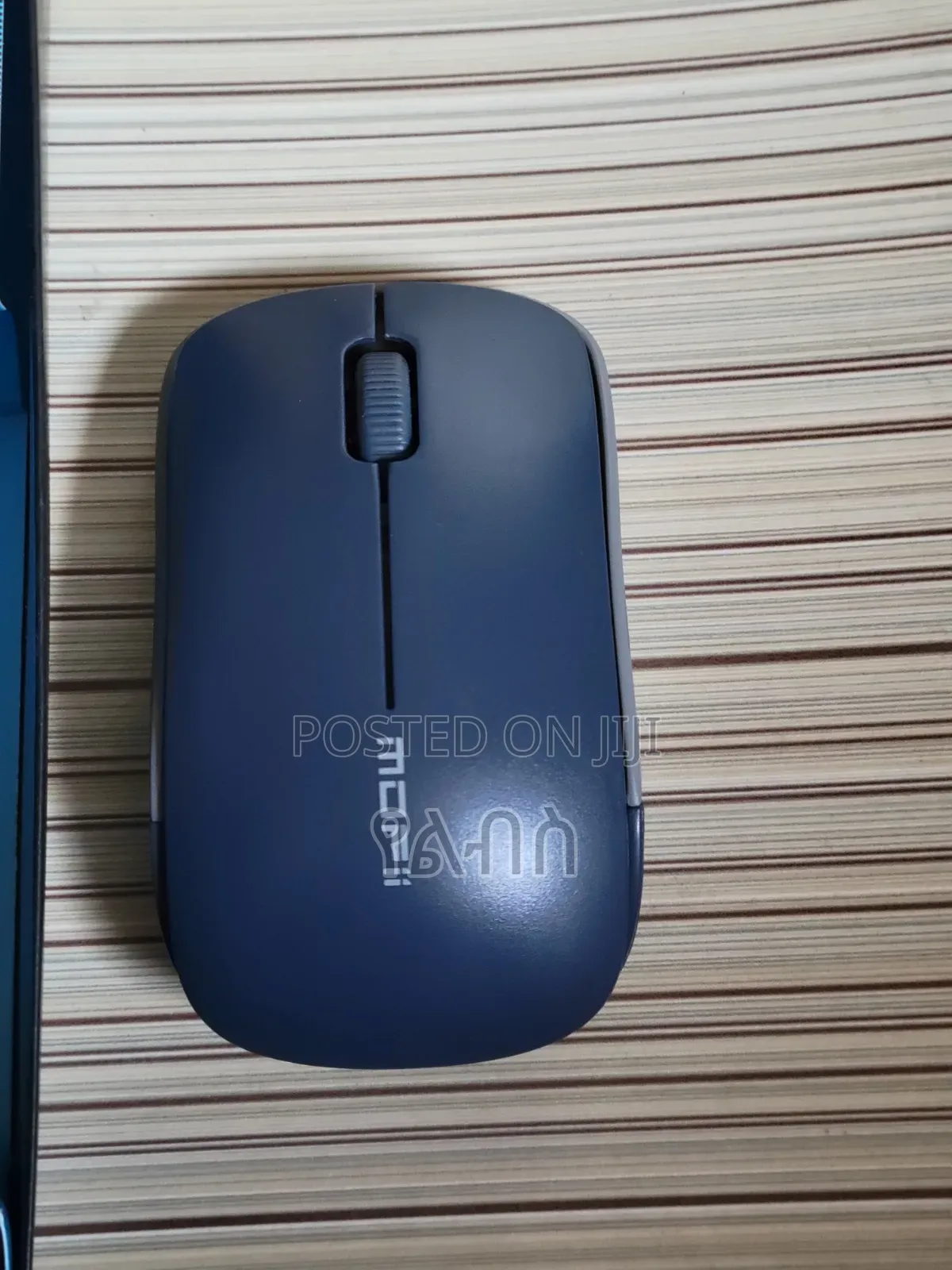 Computer Mouse