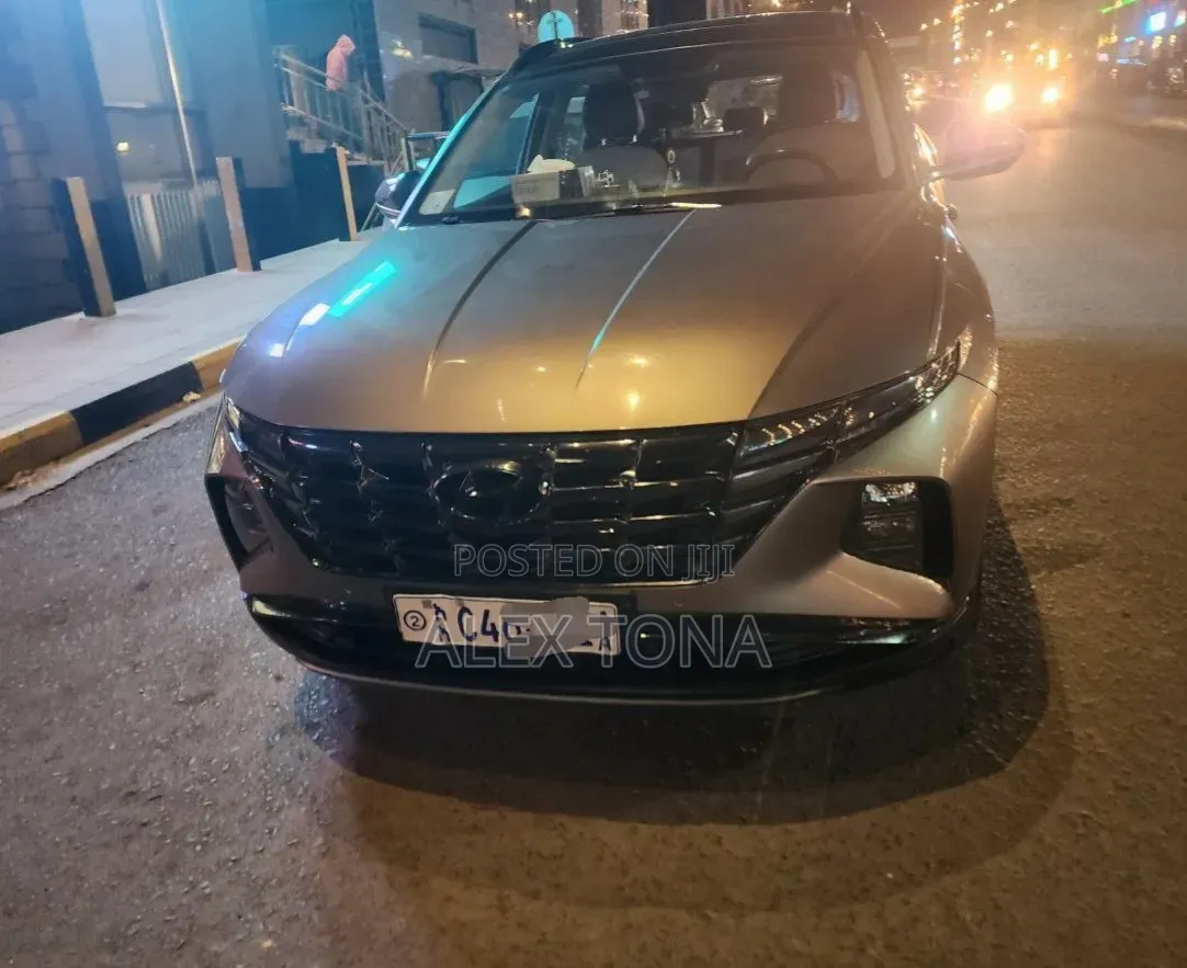 Hyundai Tucson 2023 Gray