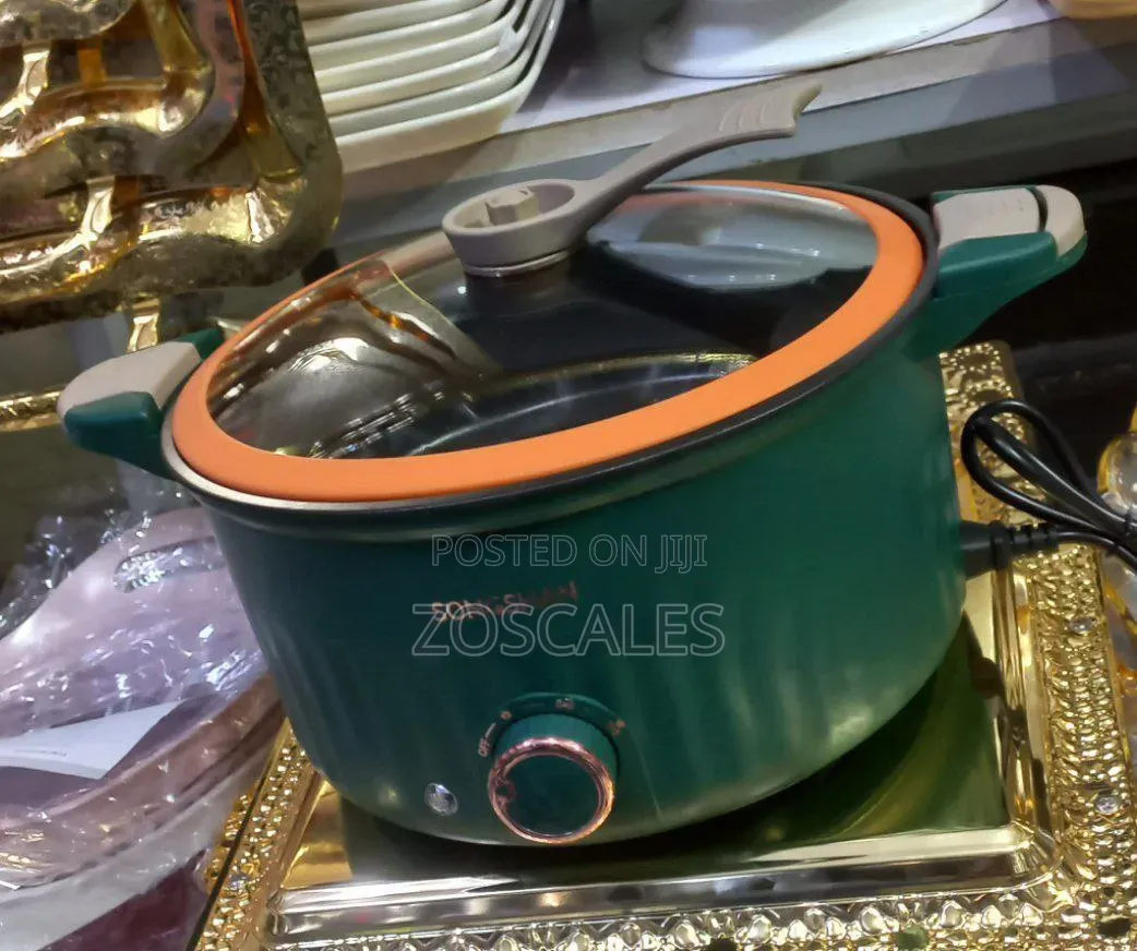 Micro Electric Pressure Cooker