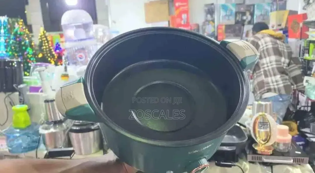 Micro Electric Pressure Cooker