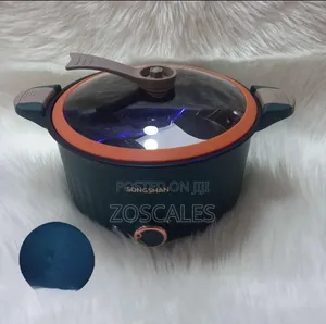 Micro Electric Pressure Cooker