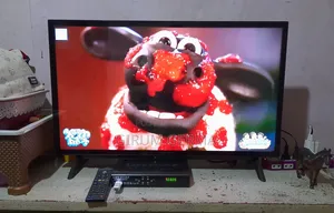 Small Price and Big Desconet Orginal 32inch TV and Life Star Decoder