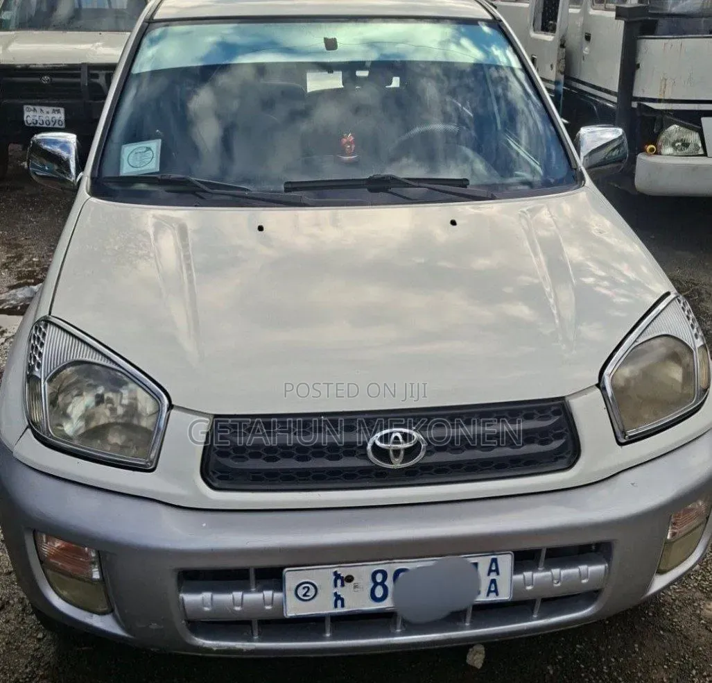 Toyota RAV4 2002 Silver