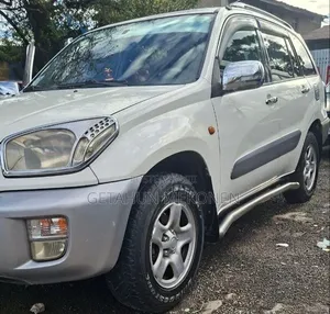 Toyota RAV4 2002 Silver