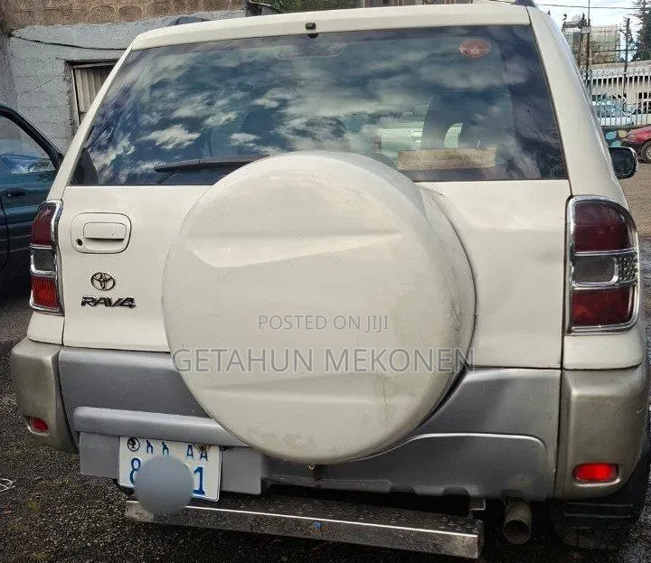 Toyota RAV4 2002 Silver