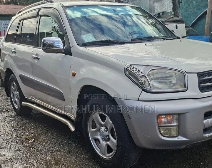 Toyota RAV4 2002 Silver