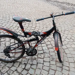 Spring Bike