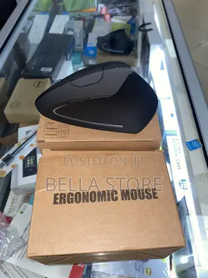 Ergonomic Mouse Wireless
