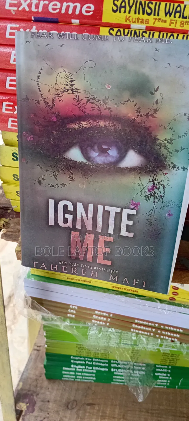 Ignite Me by Mafi