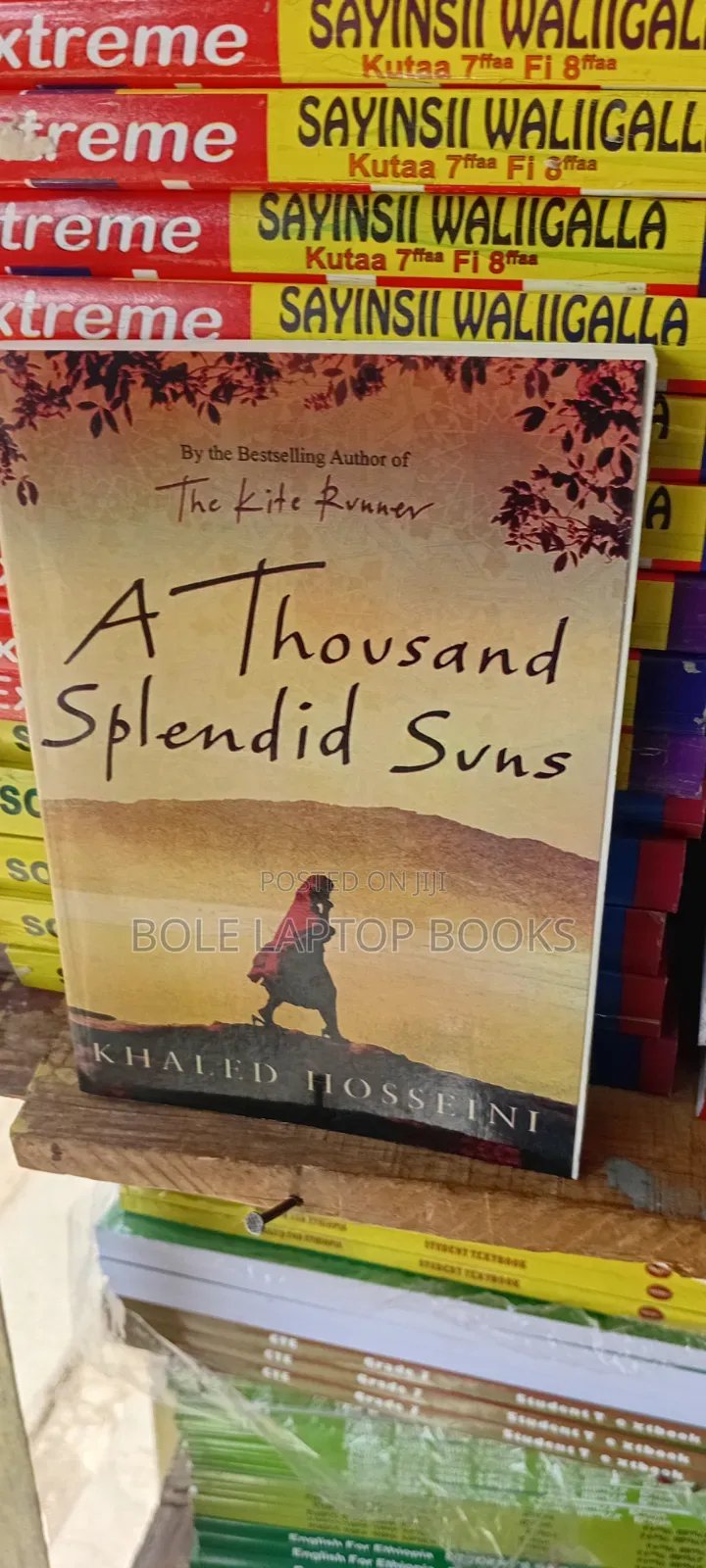 A Thousend Splendid Sun