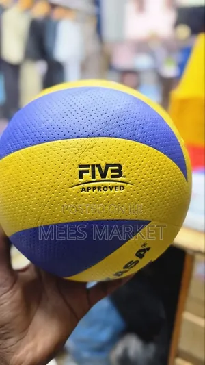 Volleyball Mikasa