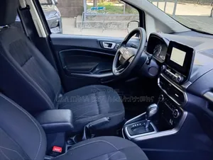 Ford Ecosport 2021 Gray