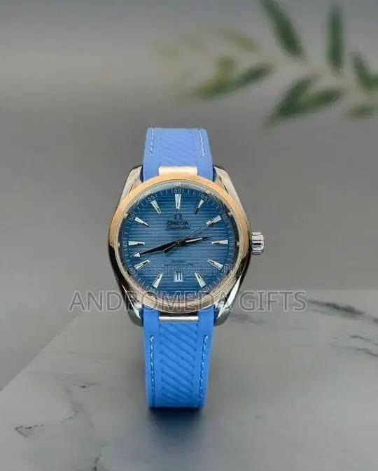 Omega Coaxial Watch