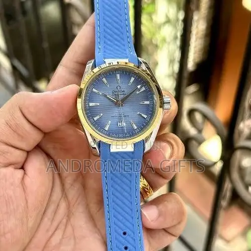 Omega Coaxial Watch