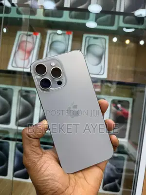 Apple iPhone 15 Pro Max 256 GB Silver