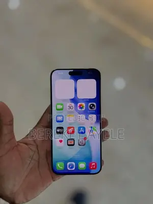 Apple iPhone 15 Pro Max 256 GB Silver