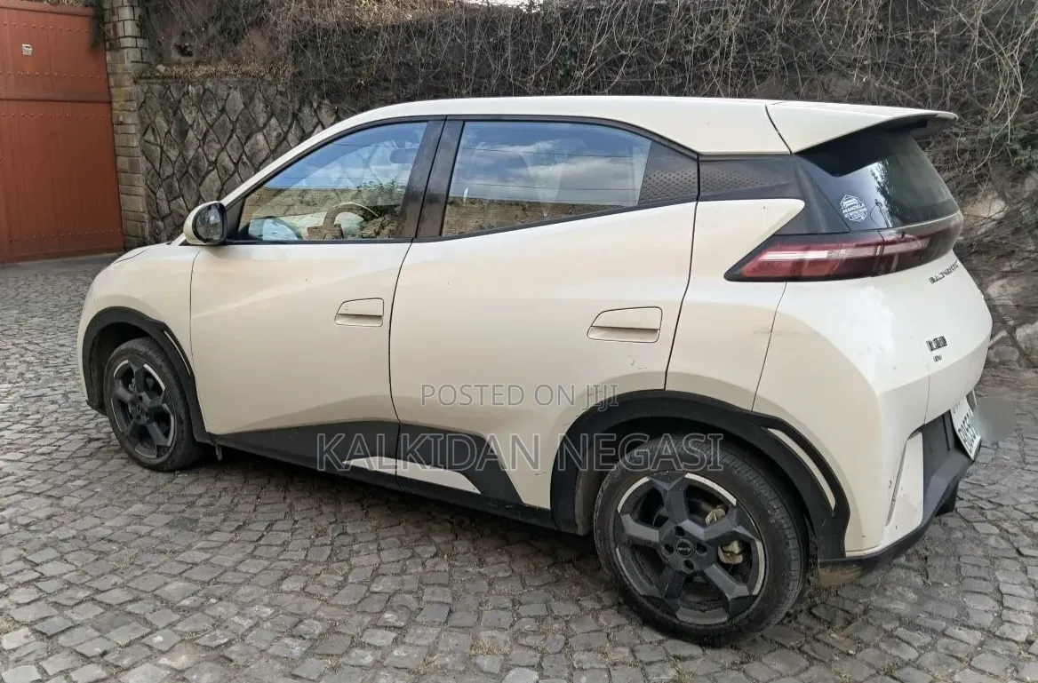 BYD Seagull 2024 White