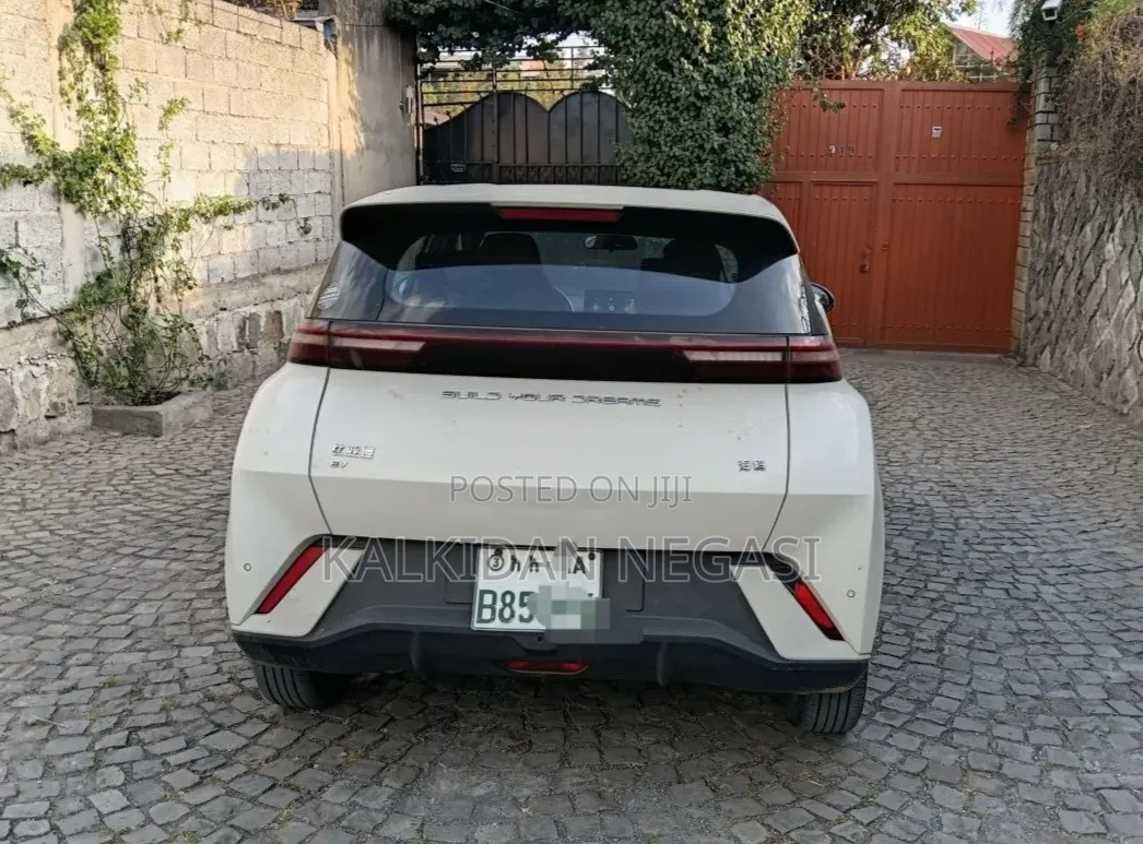 BYD Seagull 2024 White