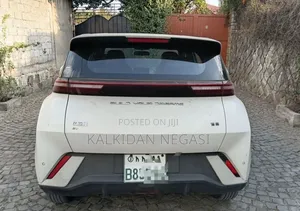BYD Seagull 2024 White