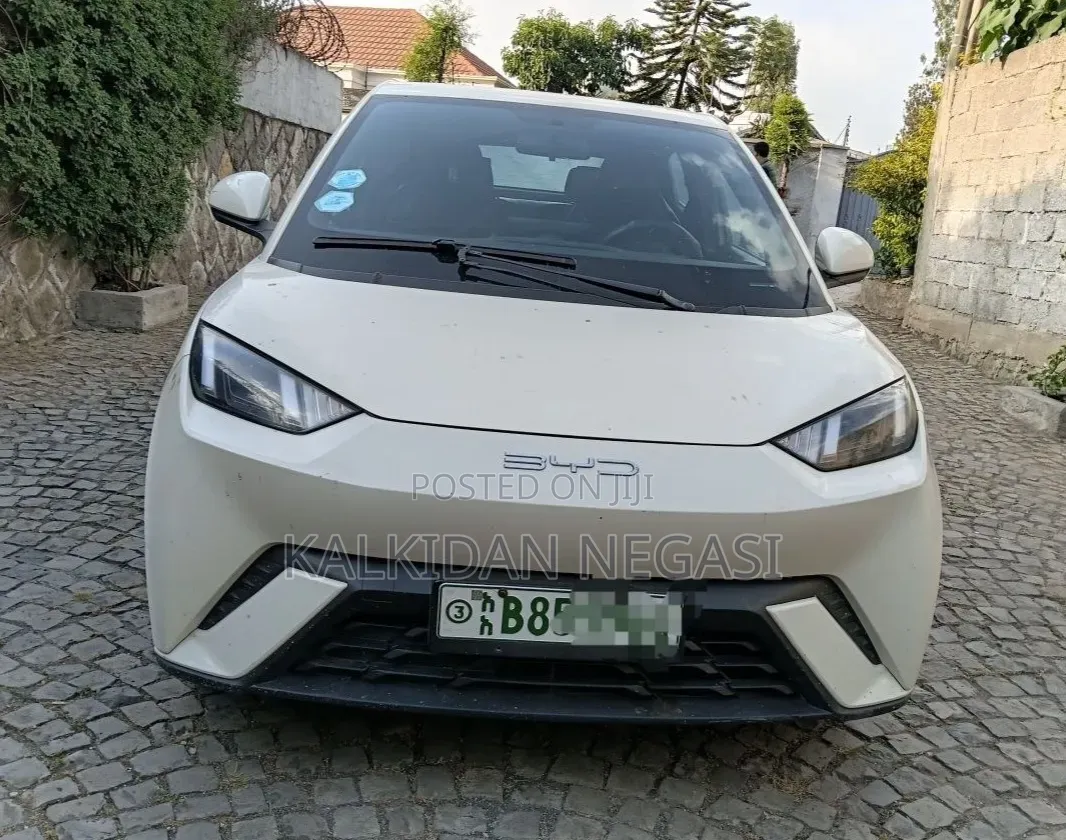 BYD Seagull 2024 White