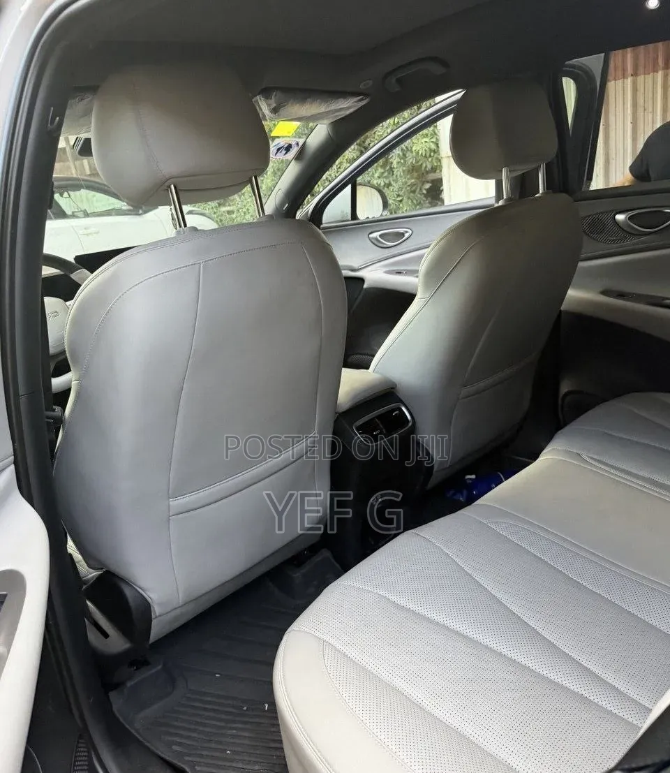 BYD Sealion 06 DM-i 2025 Gray