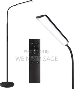 LED Floor Lamp