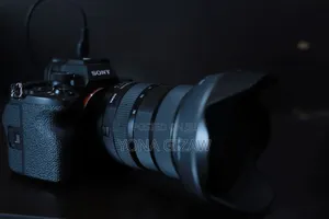 Sony Alpha 7 IV With Sigma 24-70mm F2.8 Mark 2