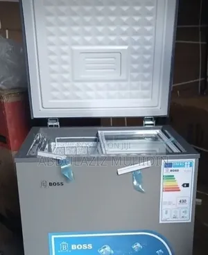 Boss 200 Refrigerator Cooler Dipe Fridge