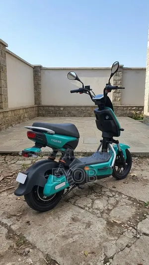 New Motorcycle 2024 Green