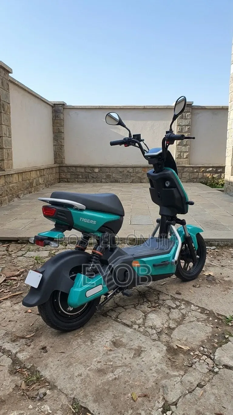 New Motorcycle 2024 Green