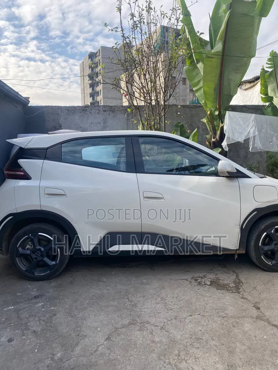 BYD Seagull 2024 White