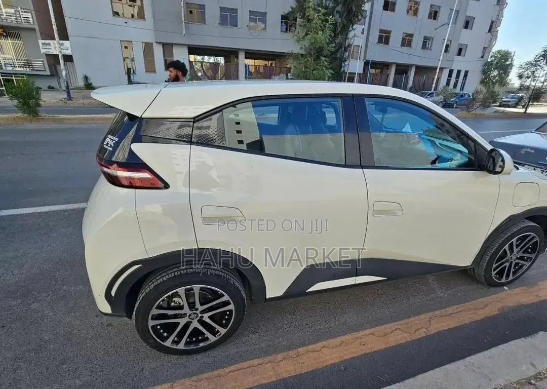 BYD Seagull 2024 White